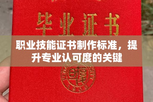 容县职业技能证书制作标准，提升专业认可度的关键
