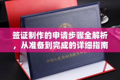 容县签证制作的申请步骤全解析，从准备到完成的详细指南