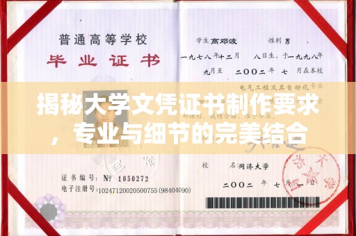 容县揭秘大学文凭证书制作要求，专业与细节的完美结合