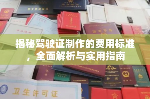 容县揭秘驾驶证制作的费用标准，全面解析与实用指南